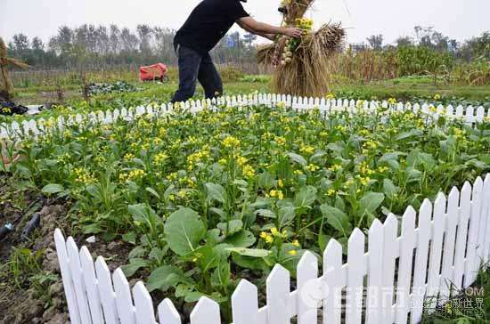 春耕+農(nóng)家特色午餐+紅色路線(xiàn)